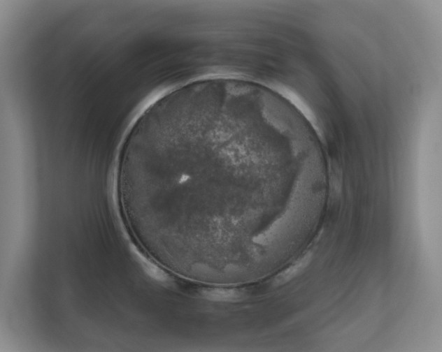 X0000111631245200907241044