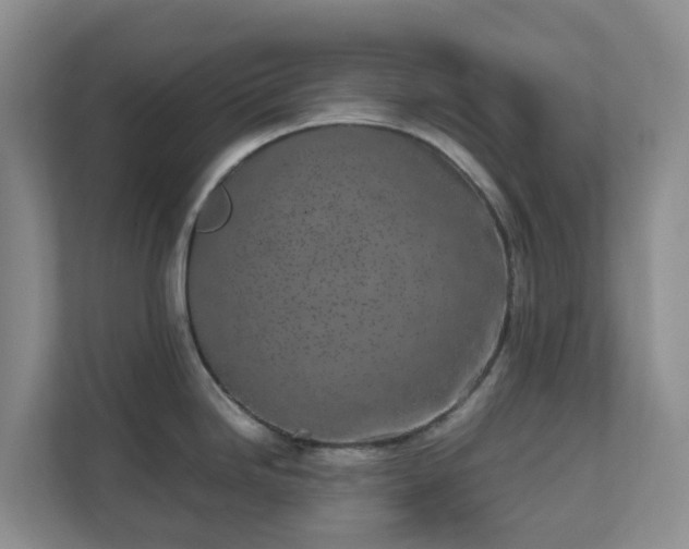 X0000111631246200907241044