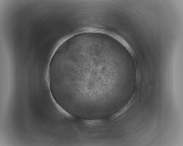 X0000111631247200907241044