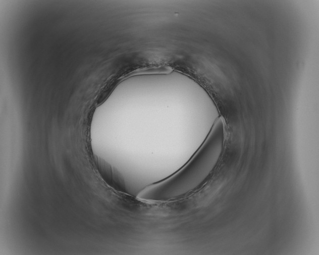 X0000111631249200907241043