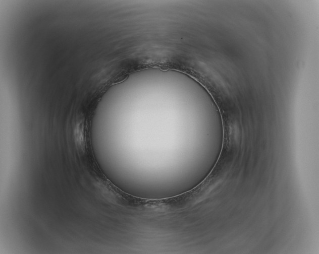 X0000111631250200907241043