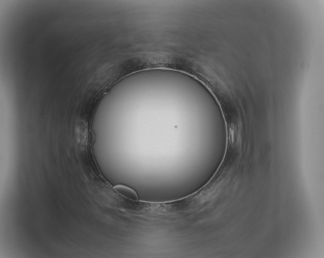 X0000111631251200907241043