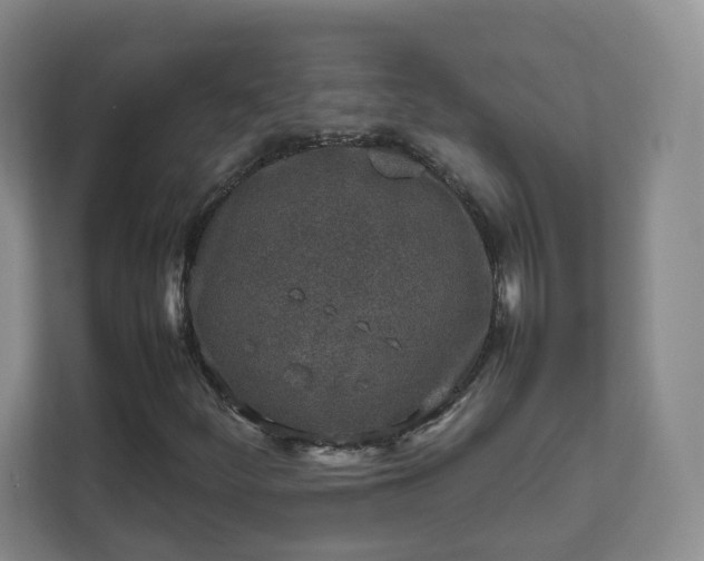 X0000111631252200907241043