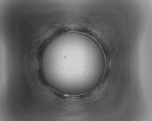 X0000111631253200907241043