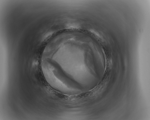 X0000111631254200907241043