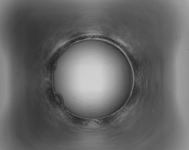 X0000111631255200907241043