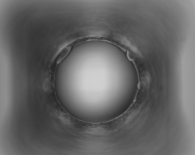 X0000111631256200907241043