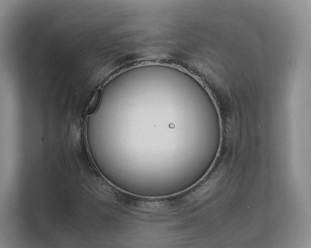 X0000111631257200907241043