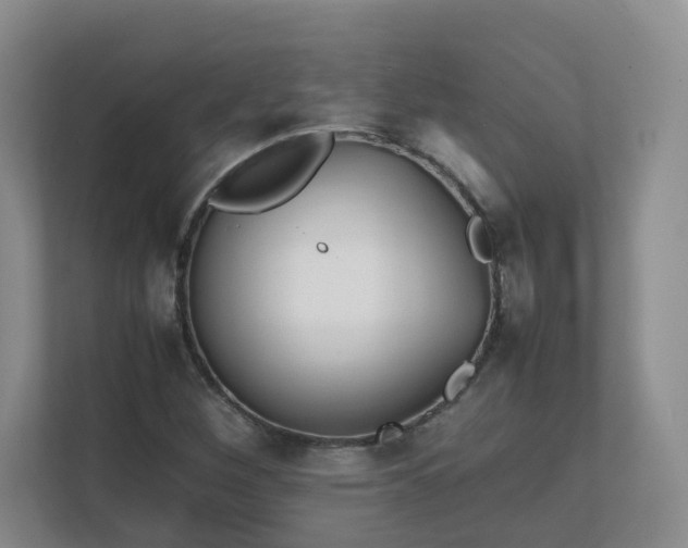 X0000111631260200907241043