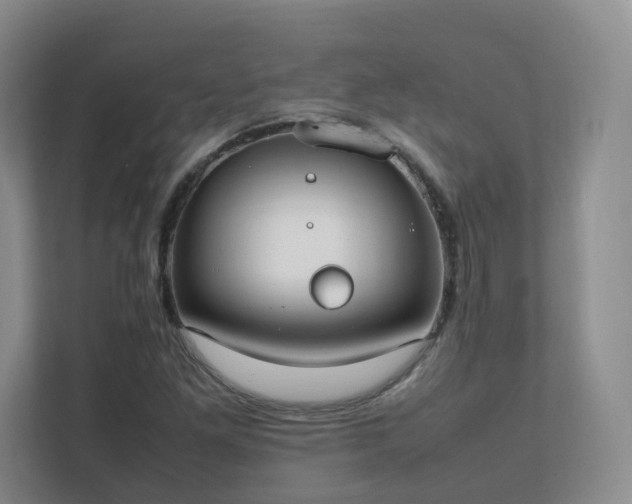 X0000111631261200907241043