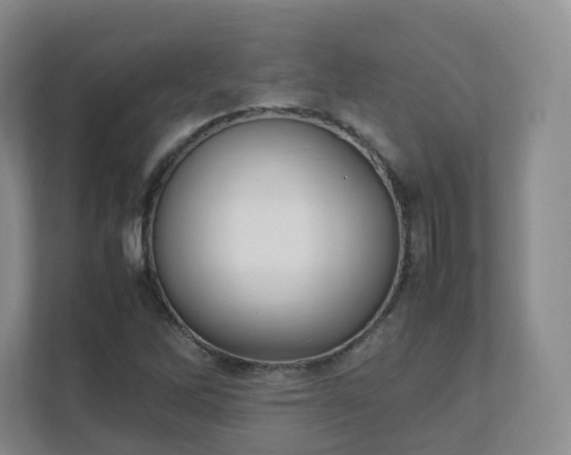 X0000111631262200907241043