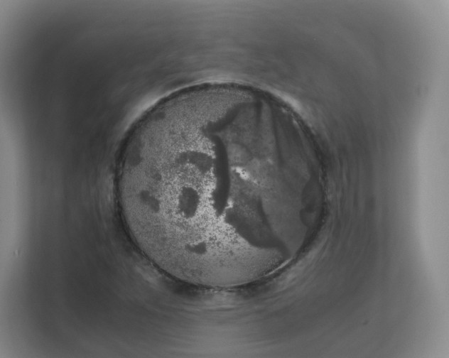 X0000111631263200907241043