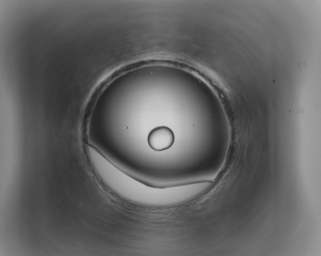 X0000111631264200907241043