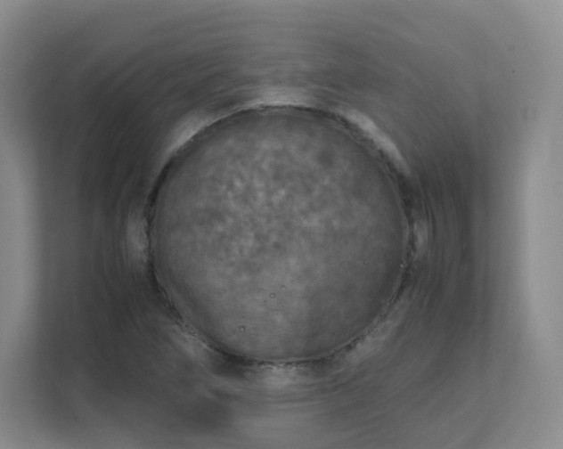 X0000111631266200907241043