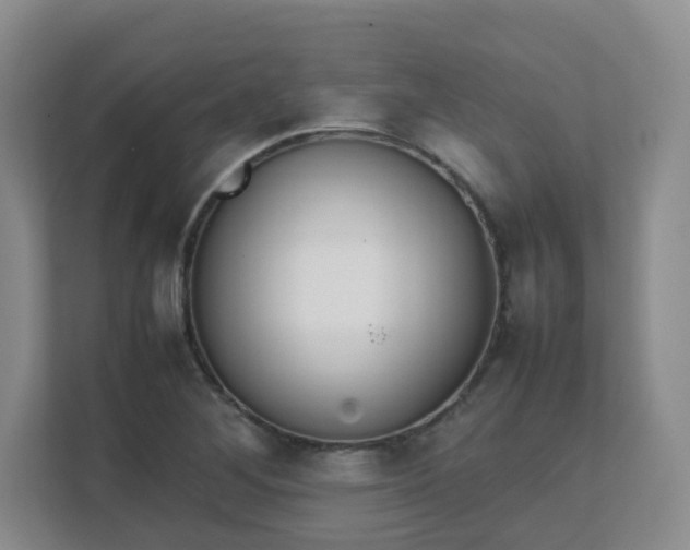 X0000111631268200907241043