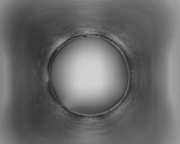 X0000111631269200907241043