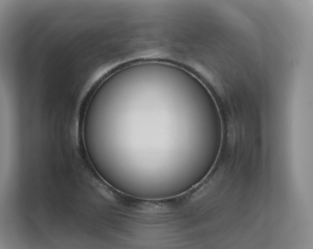 X0000111631270200907241043