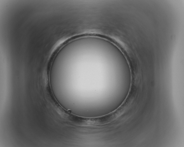 X0000111631271200907241043