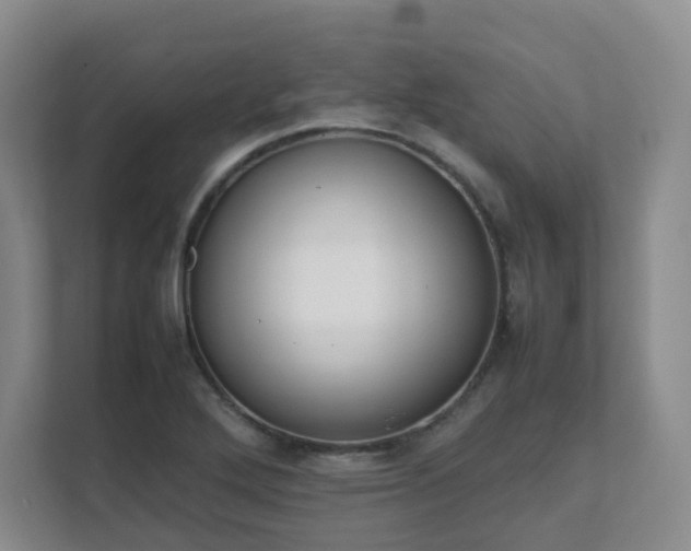 X0000111631272200907241043