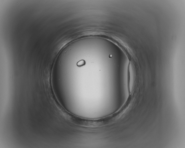 X0000111631273200907241043