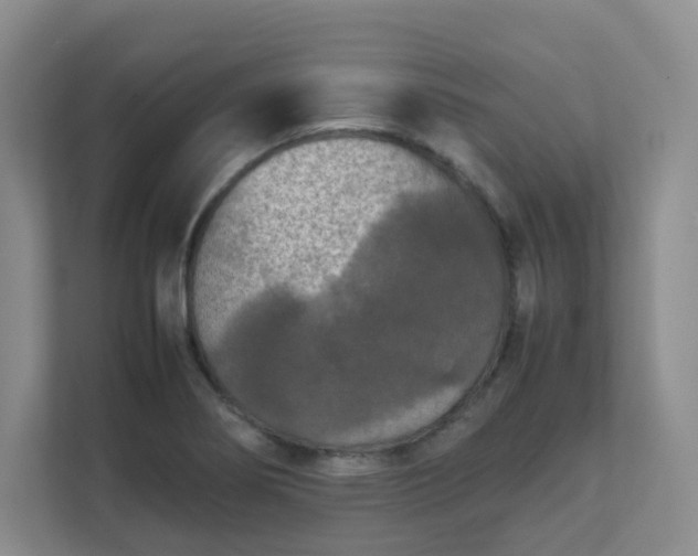 X0000111631274200907241043