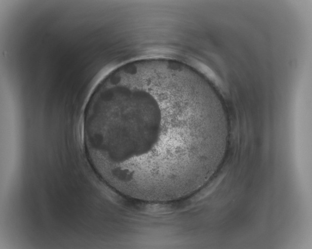 X0000111631275200907241043