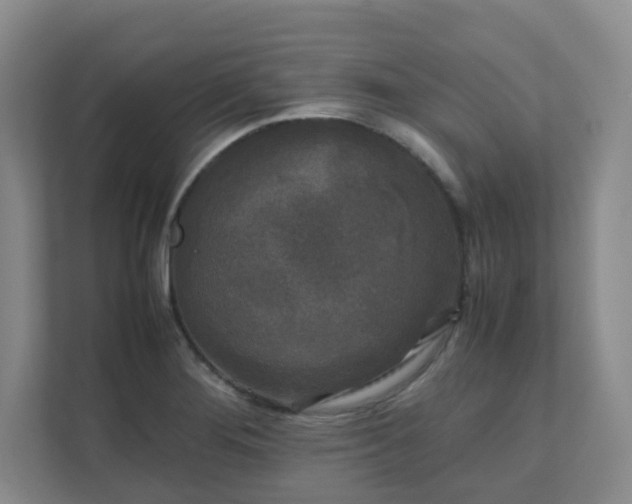 X0000111631276200907241043