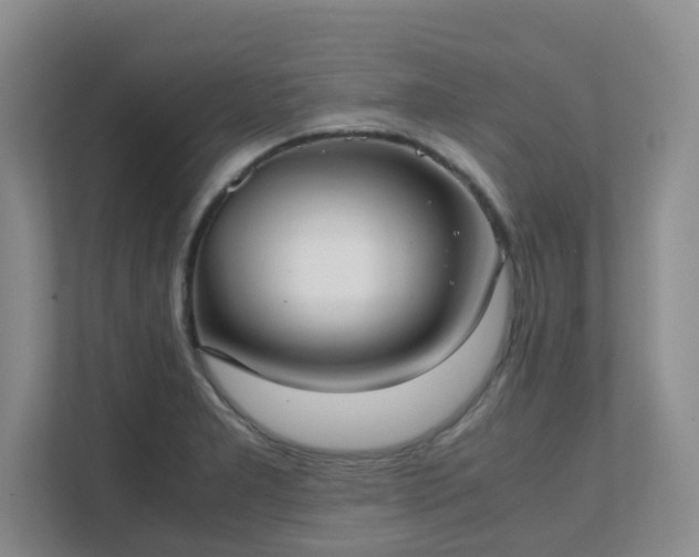 X0000111631277200907241043