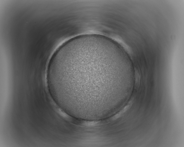 X0000111631278200907241043