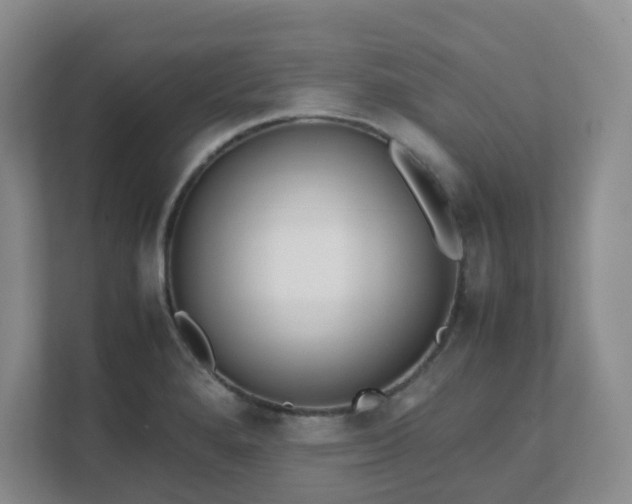 X0000111631280200907241043