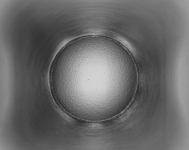 X0000111631283200907241043