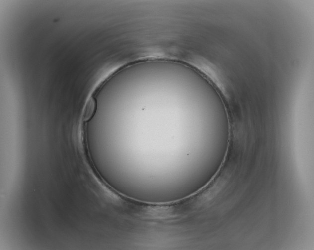 X0000111631285200907241043