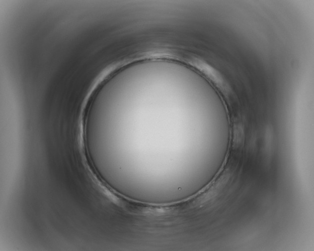 X0000111631286200907241043