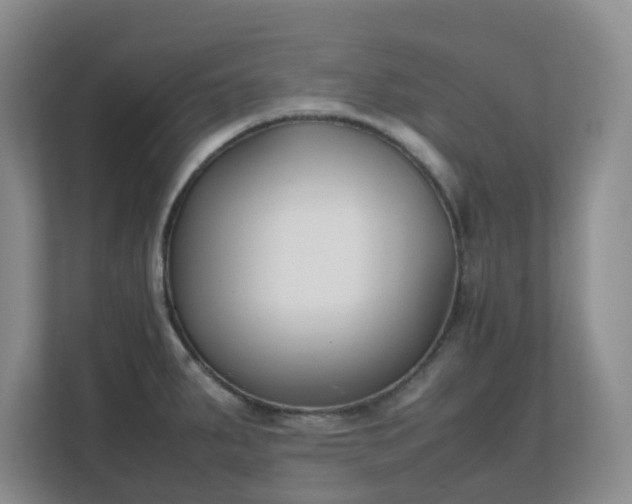 X0000111631287200907241043