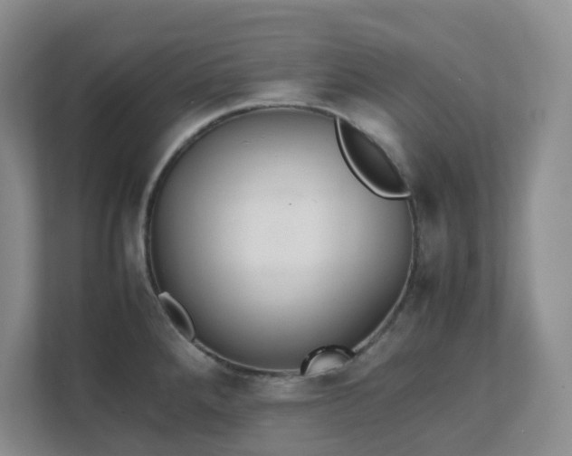 X0000111631288200907241043