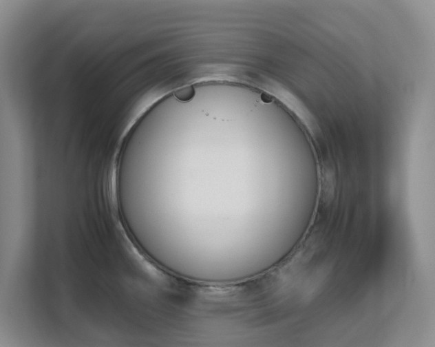 X0000111631290200907241043