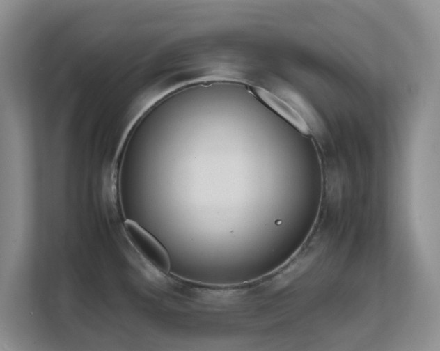 X0000111631292200907241043