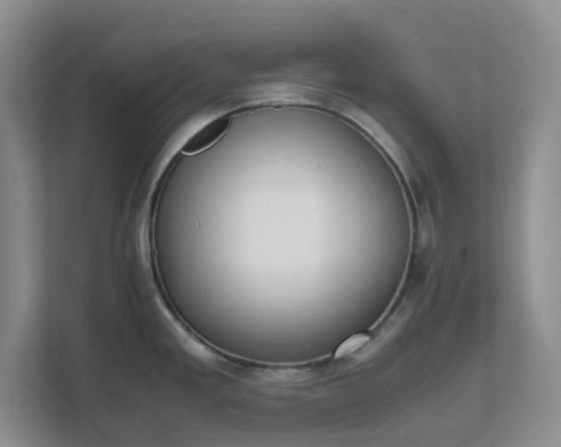 X0000111631293200907241043