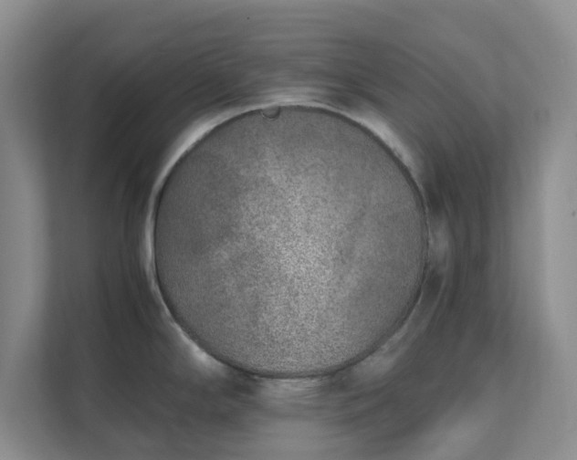 X0000111631294200907241043