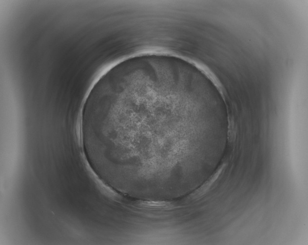 X0000111631295200907241043