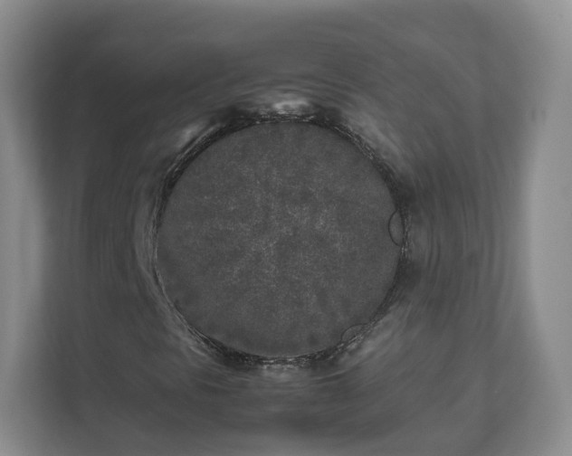 X0000111631297200907241042