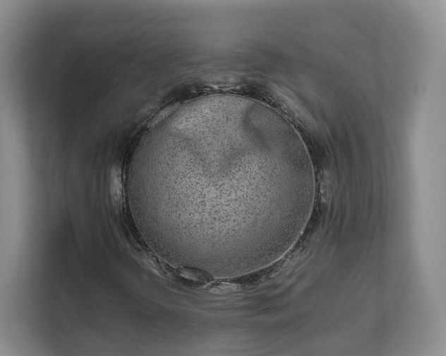 X0000111631298200907241042