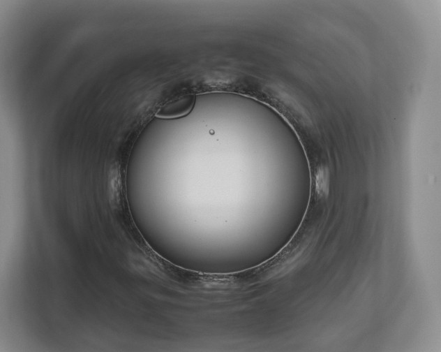 X0000111631299200907241042