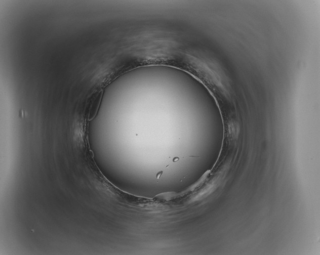 X0000111631300200907241042