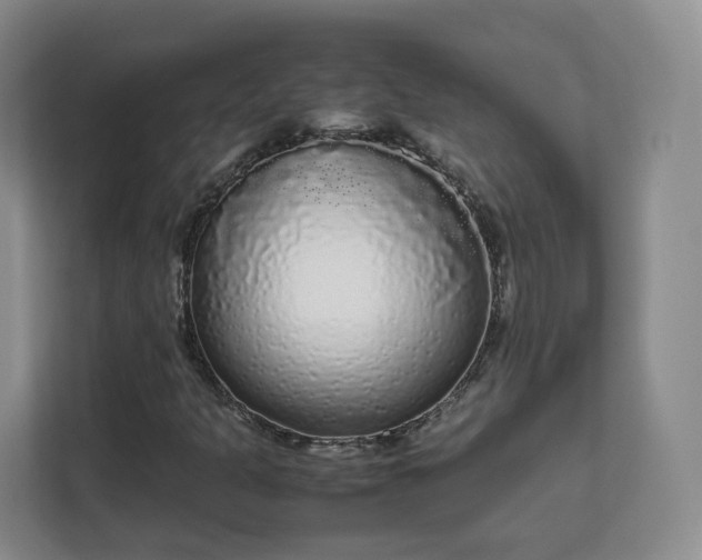 X0000111631301200907241042