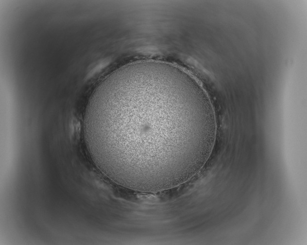 X0000111631302200907241042