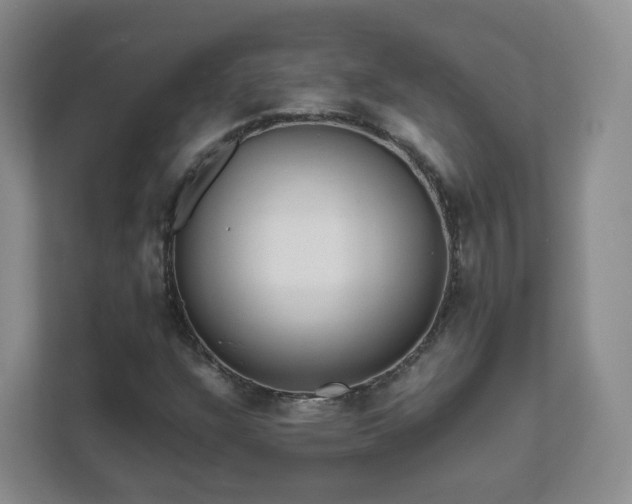 X0000111631304200907241042