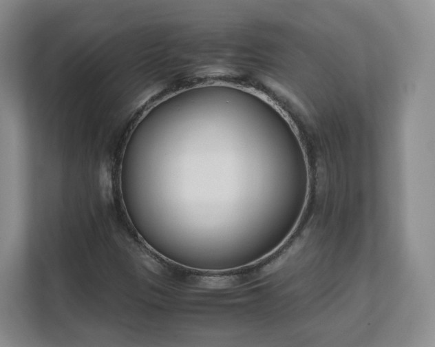 X0000111631305200907241042