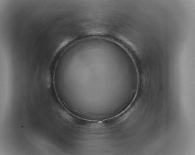 X0000111631306200907241042