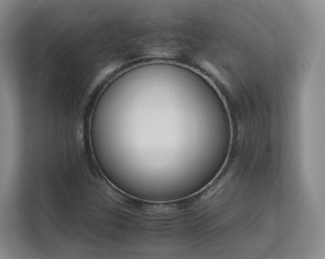 X0000111631307200907241042